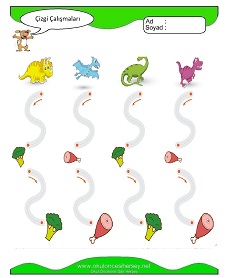 Çizgi Çalışma Sayfaları